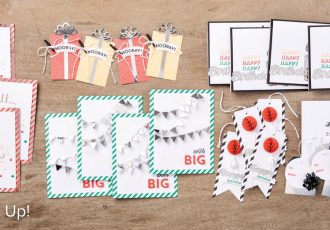 Birthday Bright Project Kit, wendy lee, Stampin Up, #creativeleeyours, video