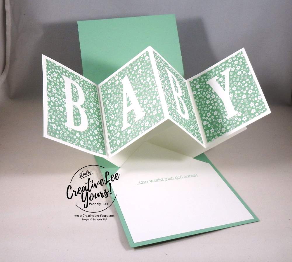 Twist and Pop Baby by Sheila Tatum, Stampin Up, Something for baby, #creativeleeyours,Babays first framelits, diemonds team meeting