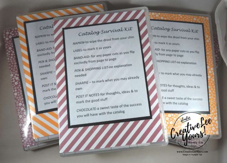 New Catalog Survival Kits by Wendy Lee, Stampin Up, #creativeleeyours, creatively yours, April 2017 On Stage, Diemonds team gifts, stamp cases, 2016-2018 in-color paper stacks