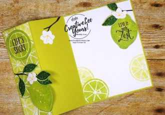 Embossed Z-Fold Limes by wendy lee, stampin up, stamping, rubber stamps, handmade card, lemon zest stamp set, colorful seasons stamp set, enjoy life, august 2017 FMN class, clear embossing, fruit, stamping off technique