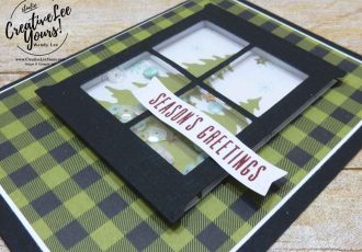Window shaker,October 2017 Pining For Plaid Paper Pumpkin Kit by wendy lee, christmas cards, handmade, stamping, masculine, Stampin Up,#creativeleeyours, creatively yours, fast and easy, simple