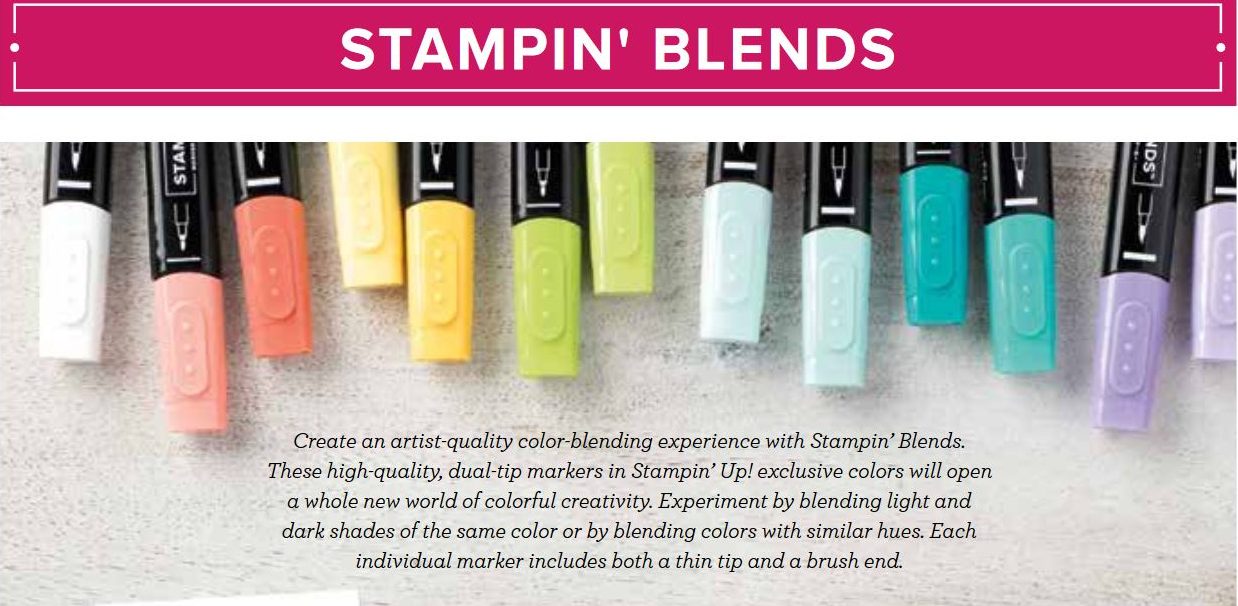 Stampin' blends with wendy lee,stampin Up, coloring, alcohol markers, #creativeleeyours, creatively yours, creative-lee yours, handmade, paper crafts, new product