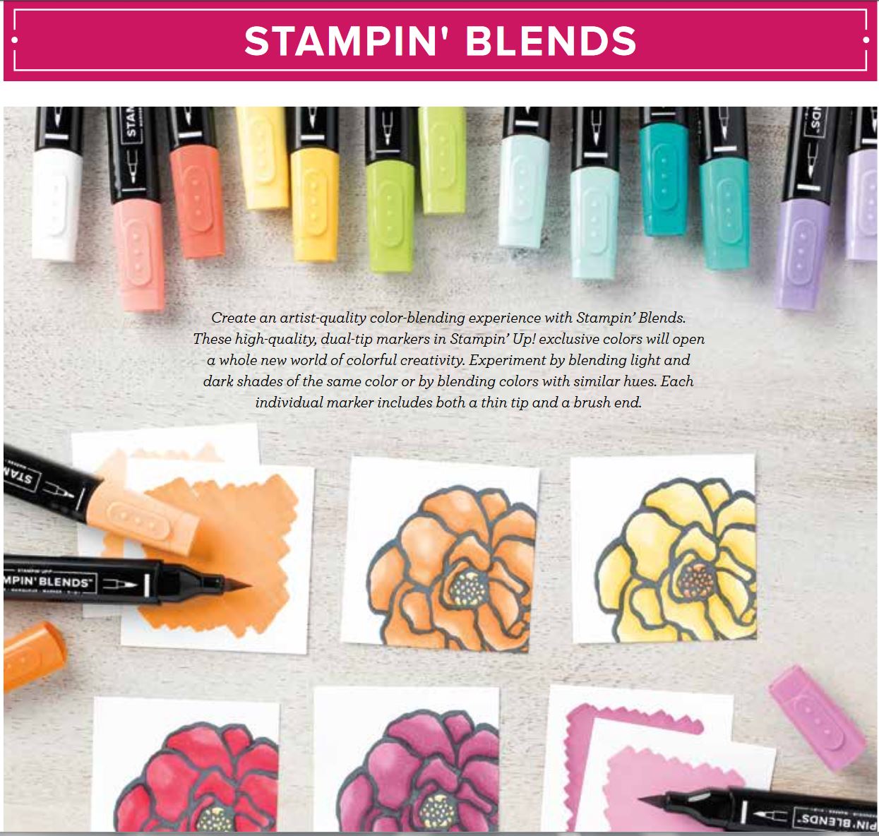 Stampin' blends with wendy lee,stampin Up, coloring, alcohol markers, #creativeleeyours, creatively yours, creative-lee yours, handmade, paper crafts, new product, free case inserts