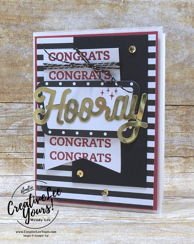 June 2018 Broadway Star Paper Pumpkin Kit by wendy lee, stampin up, handmade cards, rubber stamps, stamping, kit, subscription, birthday, thank you, congrats, friend, #creativeleeyours, creatively yours, creative-lee yours, SU, SU cards, alternate, masculine