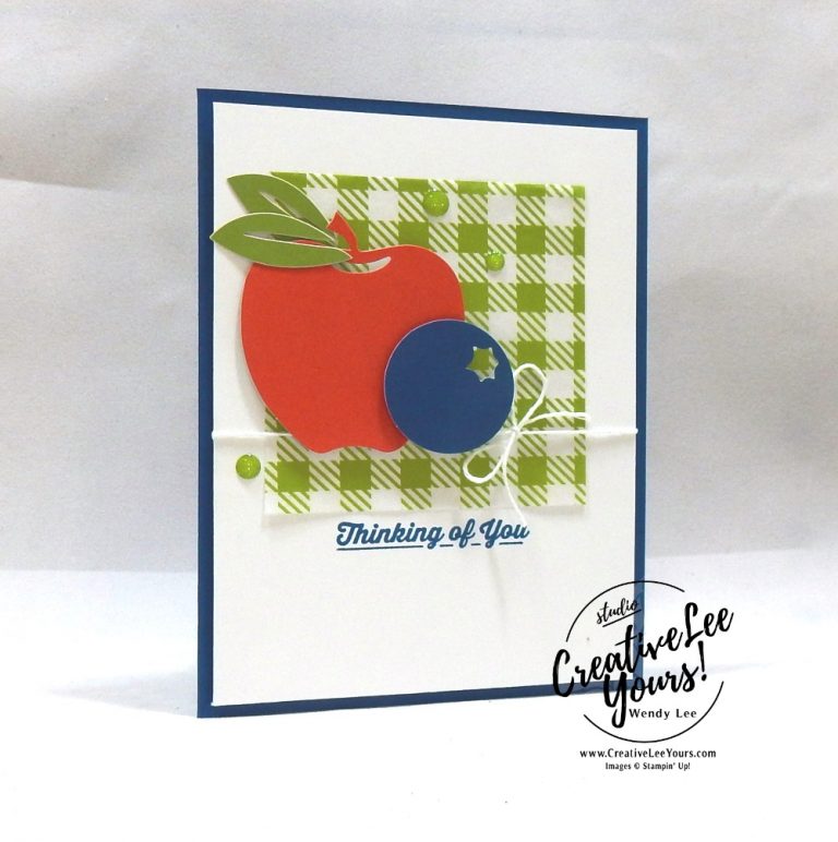 Enjoy, July 2018 picnic paradise Paper Pumpkin Kit by wendy lee, stampin up, handmade cards, rubber stamps, stamping, kit, subscription, #creativeleeyours, creatively yours, creative-lee yours, birthday, friend, thank you, congrats, alternate