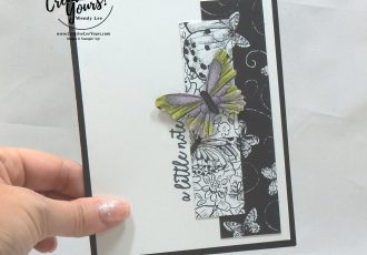 A Quick Little Note by wendy lee, Stampin Up, stamping, handmade card, friend, thank you, birthday, #creativeleeyours, creatively yours, creative-lee yours, SU, SU cards, rubber stamps, demonstrator, business, DIY, occasions sneak peak, cling stamps, #simplestamping, butterfly gala, butterfly punch, black and white, fast & easy, spotlighting
