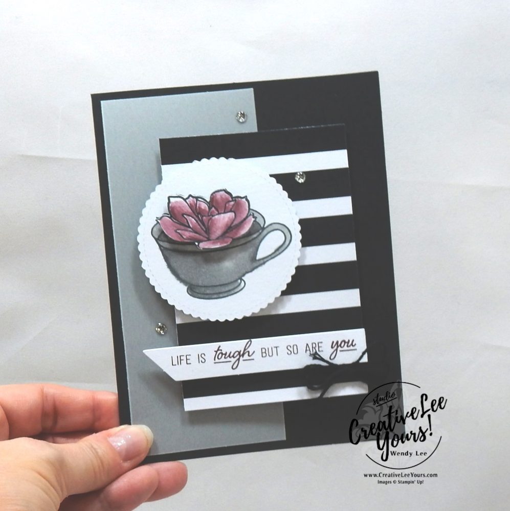 February 2019 Grown With Kindness Paper Pumpkin Kit by wendy lee, stampin up, handmade cards, rubber stamps, stamping, kit, subscription, #creativeleeyours, creatively yours, creative-lee yours, succulents, video, bonus tutorial, fast & easy, DIY, #simplestamping