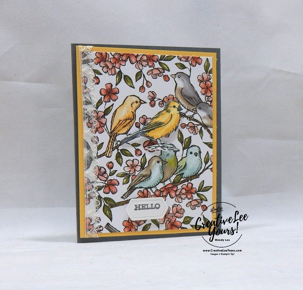 Hello Birds, Diemonds team, wendy lee, stampin up, stamping, SU, #creativeleeyours, creatively yours, creative-lee yours, SU events, business opportunity, DIY, fellowship, Free as a bird stamp set, rubber stamps, hand made, stamping, pattern paper, thank you, friend, encouragement, birds, lace