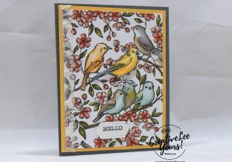 Hello Birds, Diemonds team, wendy lee, stampin up, stamping, SU, #creativeleeyours, creatively yours, creative-lee yours, SU events, business opportunity, DIY, fellowship, Free as a bird stamp set, rubber stamps, hand made, stamping, pattern paper, thank you, friend, encouragement, birds, lace