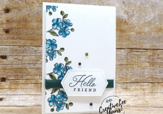 Hello Friend by wendy lee, May 2019 Hug’s from Shelli Paper Pumpkin Kit , stampin up, handmade cards, rubber stamps, stamping, kit, subscription, #creativeleeyours, creatively yours, creative-lee yours, birthday, celebration, graduation, anniversary, alternate, bonus tutorial, fast & easy, DIY, #simplestamping, limited edition, birds, collectible, spring, elegant, feminine, video, card kit, feathers, catalog kickoff