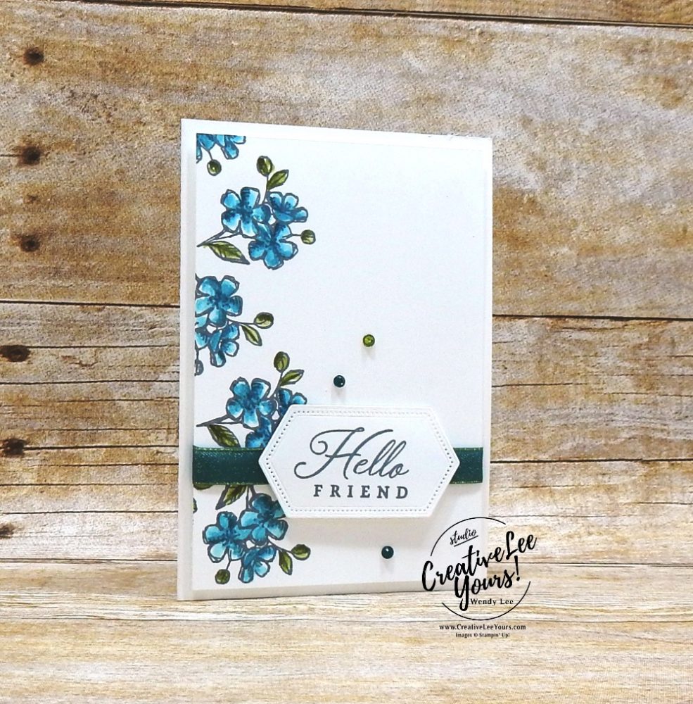 Hello Friend by wendy lee, May 2019 Hug’s from Shelli Paper Pumpkin Kit , stampin up, handmade cards, rubber stamps, stamping, kit, subscription, #creativeleeyours, creatively yours, creative-lee yours, birthday, celebration, graduation, anniversary, alternate, bonus tutorial, fast & easy, DIY, #simplestamping, limited edition, birds, collectible, spring, elegant, feminine, video, card kit, feathers, catalog kickoff