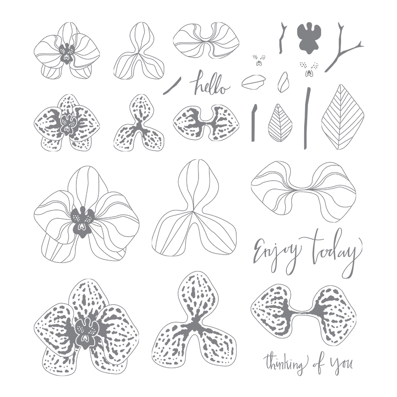 Wendy Lee, stampin up, papercrafting, #creativeleeyours, creativelyyours, creative-lee yous, SU, stamping, paper crafting, handmade, 2019 occasions catalog , 2018–2019 annual catalog, retire, discontinued