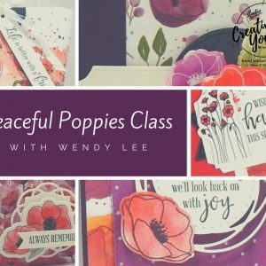 Peaceful Poppies Class by wendy lee, Stampin Up, #creativeleeyours, wendy lee, creatively yours, creative-lee yours, stamping, paper crafting, handmade, cards, class, friend, painted poppies stamp set, peaceful moment stamp set, 3D, treat holders