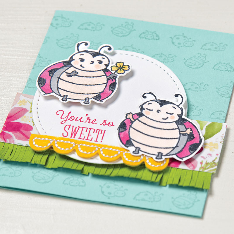 Little Lady Bug by Wendy Lee, stampin Up, SU, #creativeleeyours, handmade card, little lady bug stamp set, friend, celebration, stamping, thank you, creatively yours, creative-lee yours, DIY, birthday, SAB, paper crafts, Sale-a-bration, host set