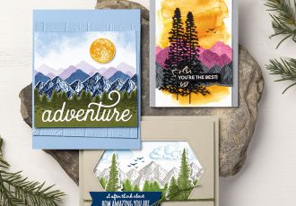 Mountain Air Bundle, Wendy Lee, stampin up, handmade cards, rubber stamps, stamping, #creativeleeyours, creatively yours, creative-lee yours, reversable, celebration, smile, thank you, birthday, congrats, amazing, love, alternate, video, DIY, outdoor, mountain, masculine, trees, Reversibles, landscape