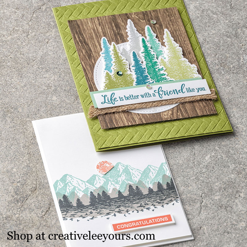Mountain Air Bundle, Wendy Lee, stampin up, handmade cards, rubber stamps, stamping, #creativeleeyours, creatively yours, creative-lee yours, reversable, celebration, smile, thank you, birthday, congrats, amazing, love, alternate, video, DIY, outdoor, mountain, masculine, trees, Reversibles, landscape