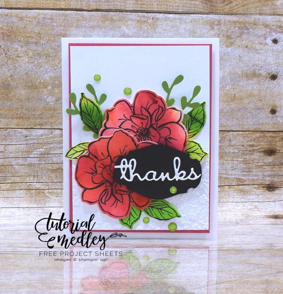 To A Wild Rose Thanks by Wendy Lee, stampin Up, SU, #creativeleeyours, handmade card, To A Wild Rose stamp set, hugs, friend, celebration, flowers, watercolor, pigment sprinkles, #cardmaking, #handmadecard ,#rubberstamps, stamping, creatively yours, creative-lee yours, DIY, card class, tutorial, paper crafts, tutorial medley, newsletter, card class, well written dies, retiring products #papercrafting , #makeacardsendacard ,#makeacardchangealife , #diemondsteam businessopportunity, ornate flowers