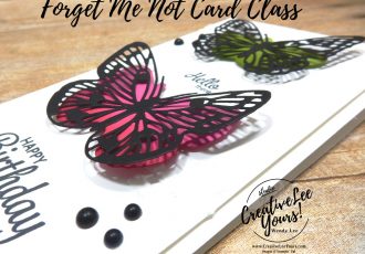Blended Butterflies by wendy lee, Butterfly Brilliance stamp set, stampin up, stamping, SU, #creativeleeyours, creatively yours, creative-lee yours, #cardmaking, #handmadecard, #rubberstamps #stamping, friend, thinking of you, sympathy, thank you, birthday, love, anniversary, stamping, DIY, paper crafts, #papercrafting , #papercraftingsupplies, #papercraftingisfun , FMN, forget me not, ,#cardclub ,#cardclasses ,#onlinecardclasses , tutorial ,#tutorials , ,#funfoldcards ,#funfoldcard ,#makeacardsendacard ,#makeacardchangealife, #technique ,#techniques, embossing paste, brilliant wings, Here’s a card stamp set, slimline card