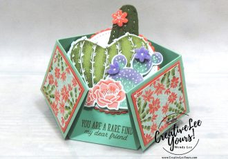 Double Diamond Fun Fold by wendy lee, Flowering Cactus stamp set, stampin up, stamping, SU, #creativeleeyours, creatively yours, creative-lee yours, #cardmaking, #handmadecard, #rubberstamps #stamping, friend, thinking of you, sympathy, thank you, birthday, love, anniversary, stamping, DIY, paper crafts, #papercrafting , #papercraftingsupplies, #papercraftingisfun , FMN, forget me not, ,#cardclub ,#cardclasses ,#onlinecardclasses , tutorial ,#tutorials , ,#funfoldcards ,#funfoldcard ,#makeacardsendacard ,#makeacardchangealife, #technique ,#techniques, flowering cactus product medley, cactus