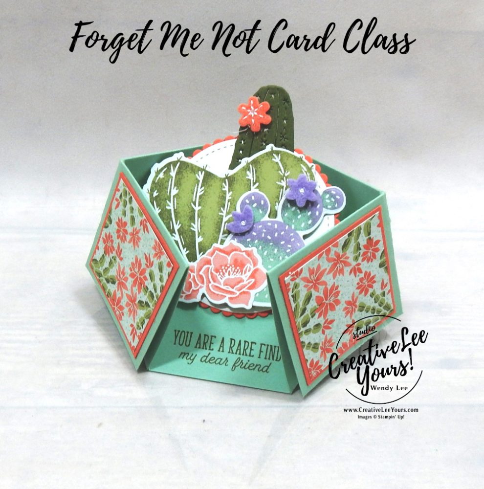 Double Diamond Fun Fold by wendy lee, Flowering Cactus stamp set, stampin up, stamping, SU, #creativeleeyours, creatively yours, creative-lee yours, #cardmaking, #handmadecard, #rubberstamps #stamping, friend, thinking of you, sympathy, thank you, birthday, love, anniversary, stamping, DIY, paper crafts, #papercrafting , #papercraftingsupplies, #papercraftingisfun , FMN, forget me not, ,#cardclub ,#cardclasses ,#onlinecardclasses , tutorial ,#tutorials , ,#funfoldcards ,#funfoldcard ,#makeacardsendacard ,#makeacardchangealife, #technique ,#techniques, flowering cactus product medley, cactus