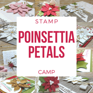 poinsettia place stamp camp, Poinsettia Place suite, Stampin' Up! Video with wendy lee, Poinsettia Petals stamp set, Stampin Up, #creativeleeyours, creatively yours, #stampinupdemonstrator ,#cardmaking #handmadecard #rubberstamps #stamping, SU, SUO, creative-lee yours, #DIY, #papercrafts , #papercraft , #papercrafting , fellowship, video, friend, birthday, celebration, hello, thank you, sympathy, Christmas, holidays, #makeacardsendacard ,#makeacardchangealife, #papercraftingsupplies, #papercraftingisfun, #simplestamping