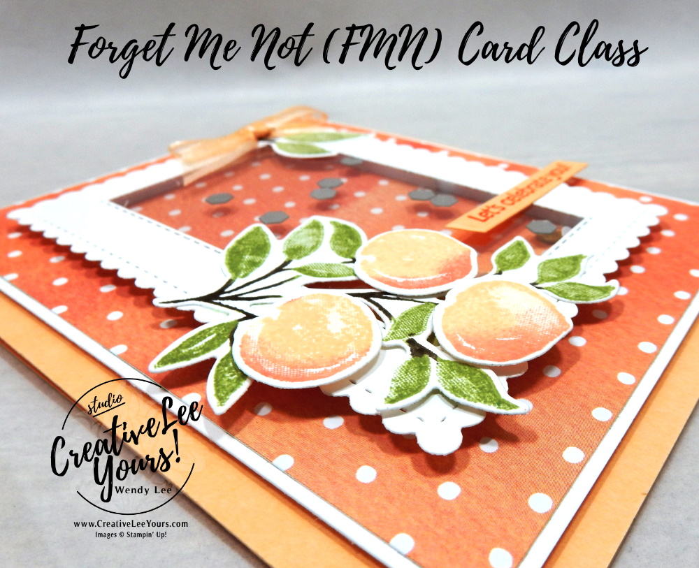 Framed Shaker by wendy lee, Sweet As A Peach stamp set, Peach Dies, stampin up, stamping, SU, #creativeleeyours, creatively yours, creative-lee yours, #cardmaking, #handmadecard, #rubberstamps #stamping, friend, thinking of you, celebrate, sympathy, thank you, birthday, love, anniversary, stamping, DIY, paper crafts, #papercrafting , #papercraftingsupplies, #papercraftingisfun , FMN, forget me not, ,#cardclub ,#cardclasses ,#onlinecardclasses , tutorial ,#tutorials ,#funfoldcards ,#funfoldcard ,#makeacardsendacard ,#makeacardchangealife, #technique ,#techniques, shaker, You’re A Peach