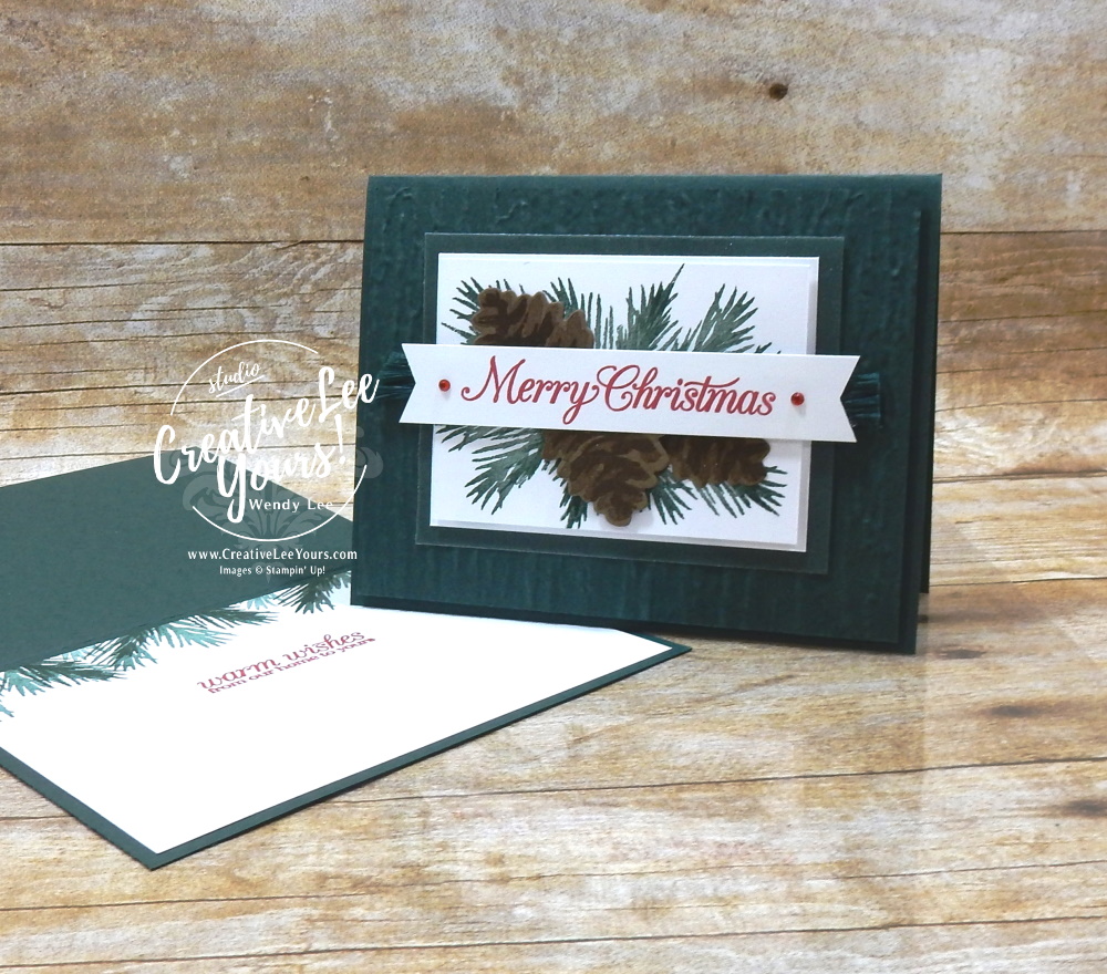 Painted Christmas by wendy lee, #creativeleeyours, creatively yours, creative-lee yours, DIY, SU, rubber stamps, class, thank you, birthday, Plentiful Plants stamp set, friend, birthday, anniversary, wedding, #stampinup, #stampinupdemonstrator, #cardmaking, #handmadecard, #rubberstamps, #stamping,#tutorial ,#tutorials, #papercrafts , #papercraft , #papercrafting , #papercraftingsupplies, #papercraftingisfun, #papercraftingideas, #makeacardsendacard ,#makeacardchangealife, Facebook live, video,#cardclasses ,#onlinecardclasses, #Christmascard, #christmasseason, #poinsettiaplace, #paintedchristmas,#christmasinjuly,#2stepstamping