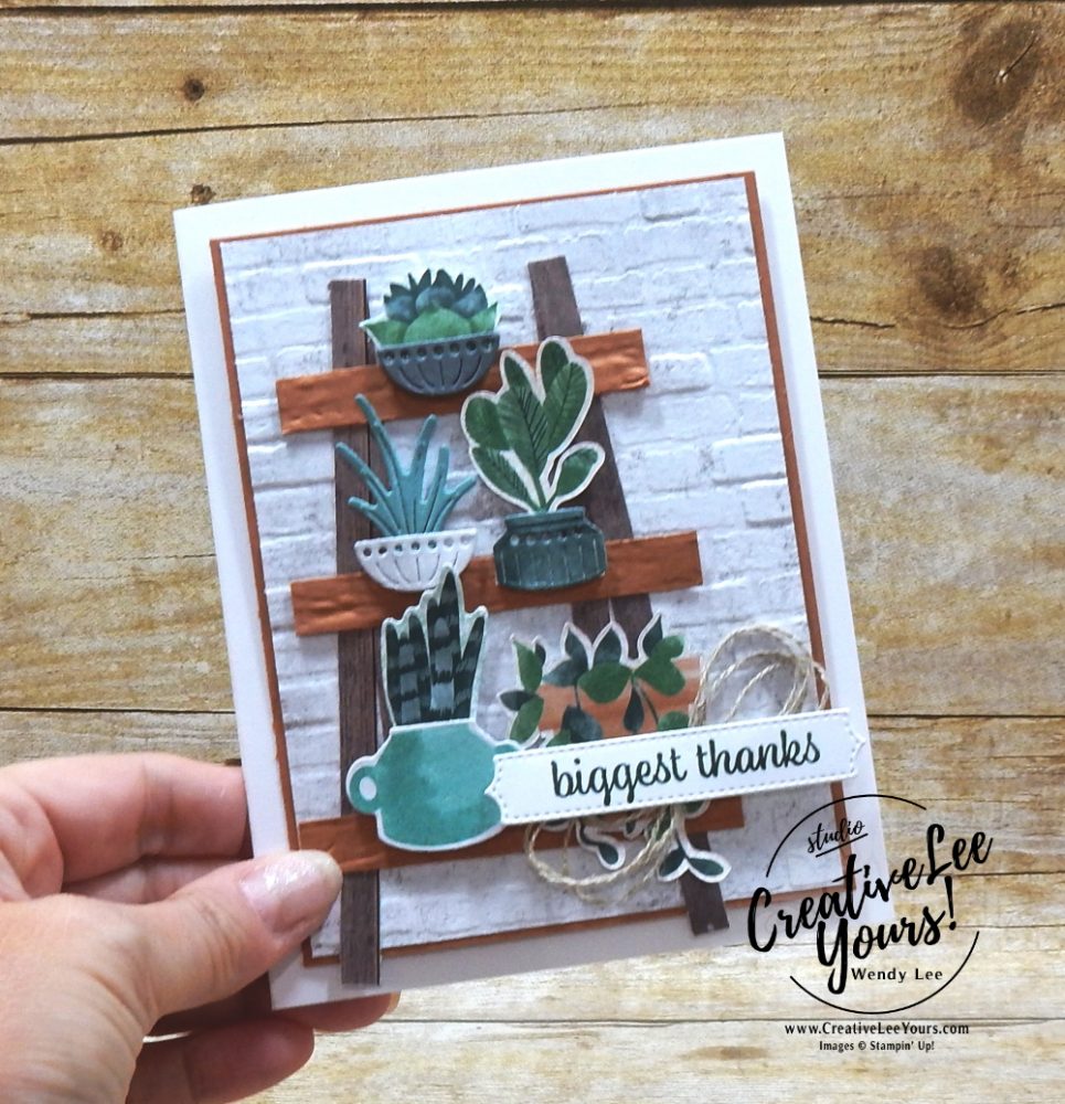 Biggest Thanks by wendy lee, #creativeleeyours, creatively yours, creative-lee yours, DIY, SU, rubber stamps, class, thank you, birthday, Plentiful Plants stamp set, friend, birthday, anniversary, wedding, #stampinup, #stampinupdemonstrator, #cardmaking, #handmadecard, #rubberstamps, #stamping,#tutorial ,#tutorials, #papercrafts , #papercraft , #papercrafting , #papercraftingsupplies, #papercraftingisfun, #papercraftingideas, #makeacardsendacard ,#makeacardchangealife, Facebook live, video,#cardclasses ,#onlinecardclasses, #pottedsucculents, #Perfectplantsdies, #patternpaper, #DSPsale, #papersale, 15%off