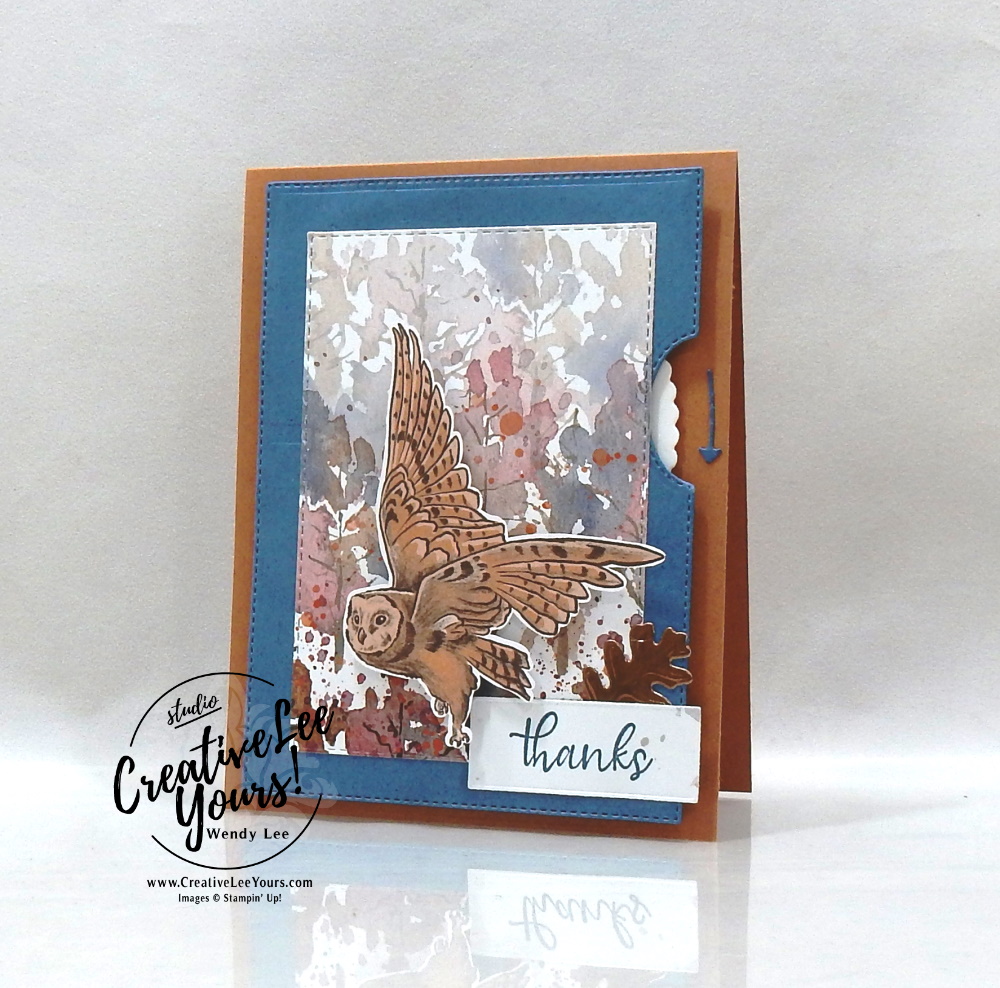Flying Owl Spinner by wendy lee, #creativeleeyours, creatively yours, creative-lee yours, DIY, SU, rubber stamps, class, thank you, birthday, Simply Succulents stamp set, birthday, thinking of you, #stampinup, #stampinupdemonstrator, #love, #cardmaking, #handmadecard, #rubberstamps, #stamping,#tutorial ,#tutorials, #papercrafts , #papercraft , #papercrafting , #papercraftingsupplies, #papercraftingisfun, #papercraftingideas, #makeacardsendacard ,#makeacardchangealife, video,#cardclasses ,#onlinecardclasses, #livepapercrafting, #facebooklive, #card, #videotutorial#masculine, #sympathy, #beautyoftomorrow, #beautyoftheearth, fall, autumn, nature,#beautyoftomorrow, #blackberrybeauty, #spinnercard, #giveitawhirl, #fallcards, #whirlycard, #interactivecards