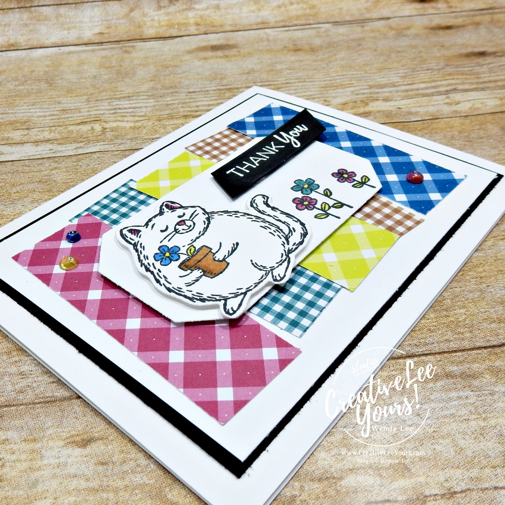 #wendylee , #creativeleeyours , #stampinup , #stampinupdemonstrator , #cardmaking, #handmadecard, #rubberstamps, #papercrafts , #papercraft , #papercraftingsupplies, #papercraftingisfun, #makeacardsendacard ,#makeacardchangealife , #creativeleeyourscommunity ,#tutorial ,#tutorials,#cardmaker, #craftwithwendy, #papercraftingtips,#livepapercrafting, #youtubelive, #StampinUpCrafts, #StampinUpMagic, #CardmakingTutorial, #CraftingJoy, #CraftingMagic, #FluffiestFriends, #CardmakingMagic,#cultivatedcreativity,#DIYpapercraftingkit