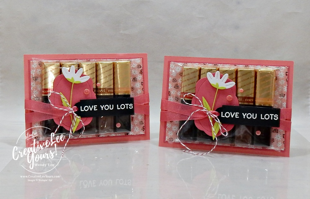 DIY treat and gift card holder made with ladybug patterned paper and strawberry slush cardstock