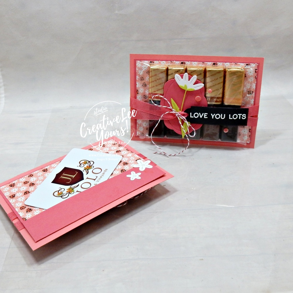 DIY treat and gift card holder made with ladybug patterned paper and strawberry slush cardstock
