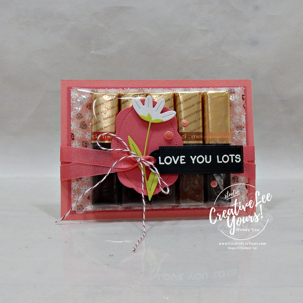 DIY treat and gift card holder made with ladybug patterned paper and strawberry slush cardstock