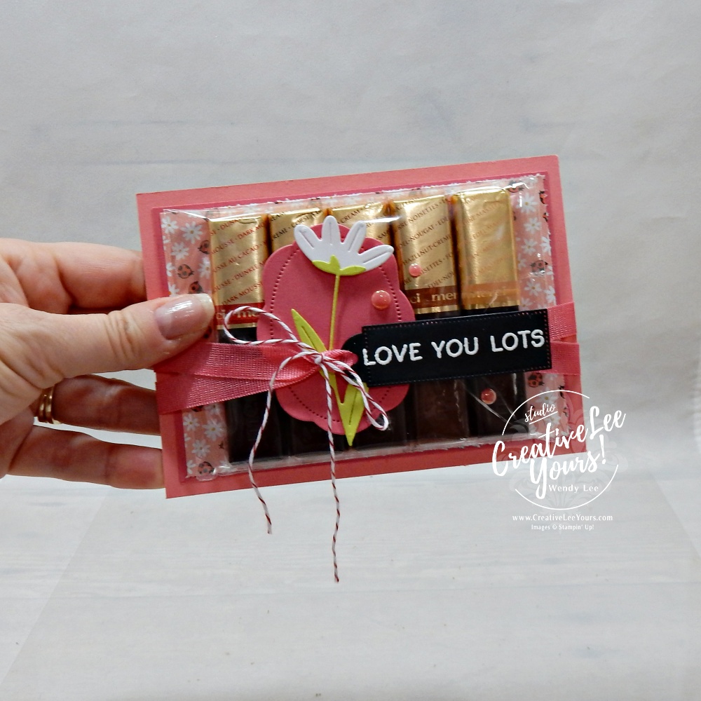 DIY treat and gift card holder made with ladybug patterned paper and strawberry slush cardstock