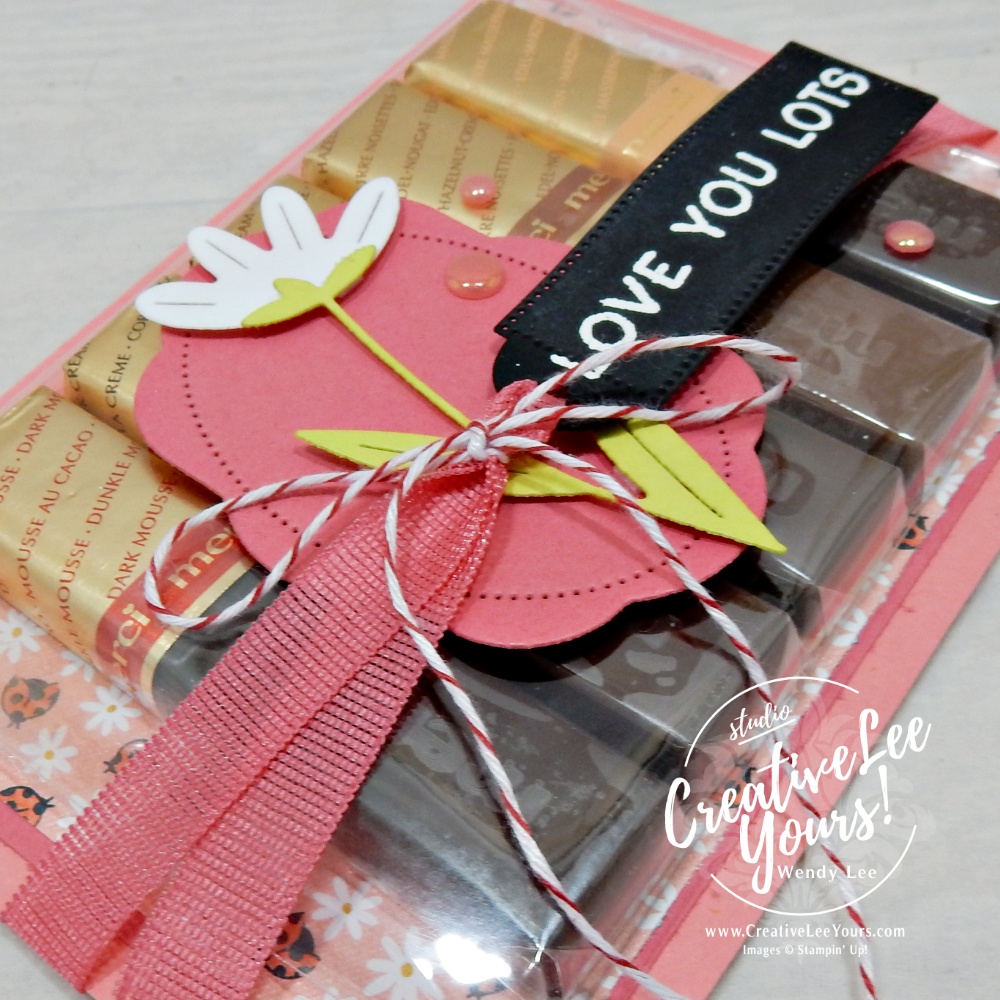 DIY treat and gift card holder made with ladybug patterned paper and strawberry slush cardstock