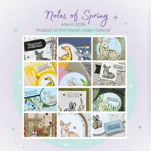 March 2026 Product Of The Month Video Class Tutorial Bundle