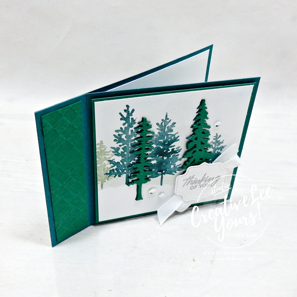 Open book binding fun fold card made with Pretty Peacock and Whispering Woods Designer Series Paper